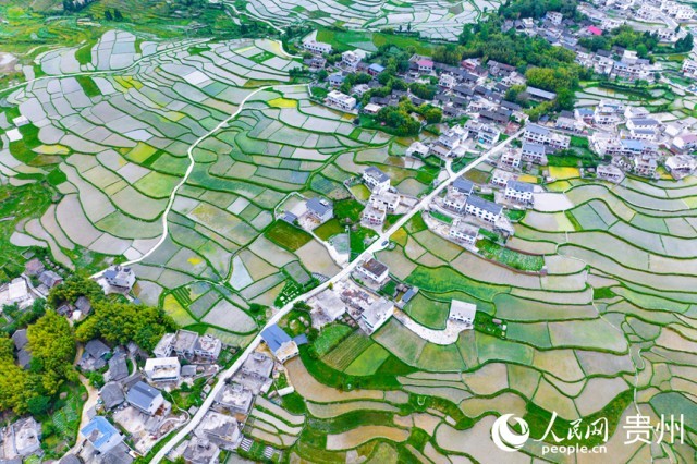 �����F�(y��ng)�л�Ϫ�^(q��)��������������W(w��ng)ӛ�� Ϳ���z